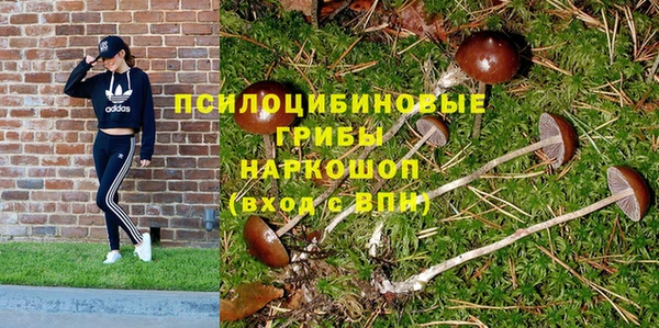 ешки Богородск