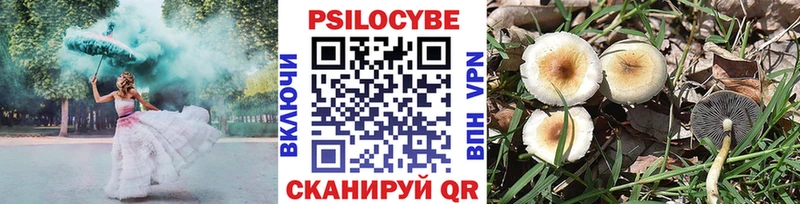 Купить где  Донецк  Галлюциногенные грибы MAGIC MUSHROOMS 